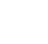 Carousel icon
